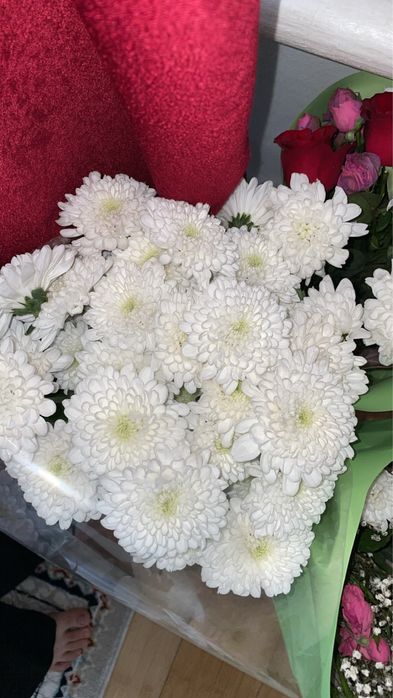 Цветы, разные свежие