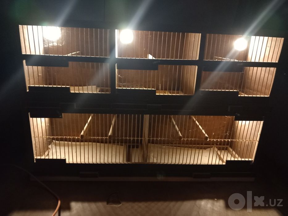 Qushlar uchun kletka kanareyka amadinlarga  ichida sveti bor