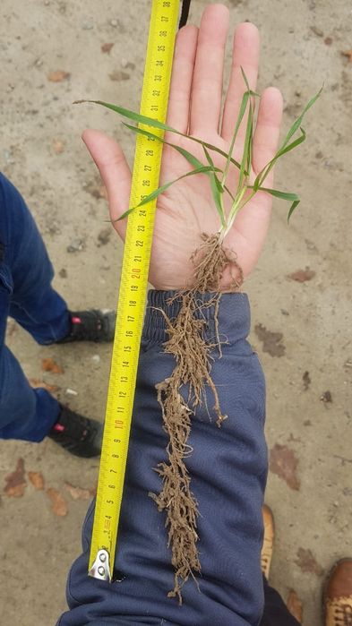 Посевной комплекс PARTNER-9.0