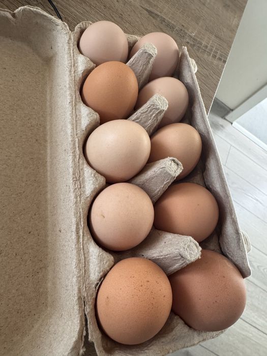 Ouă de casă Sibiu.