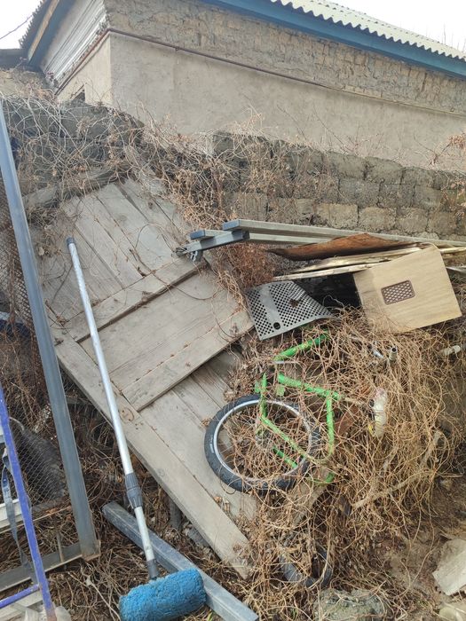 Өтын ағаш тегін.