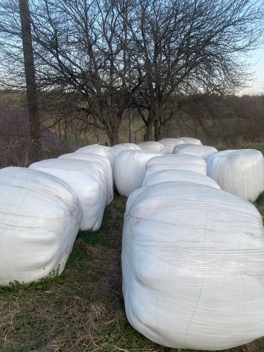 Vand Baloti infoliati de lucerna