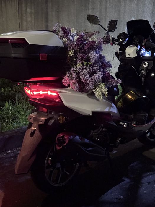 Макси лия maxi liya