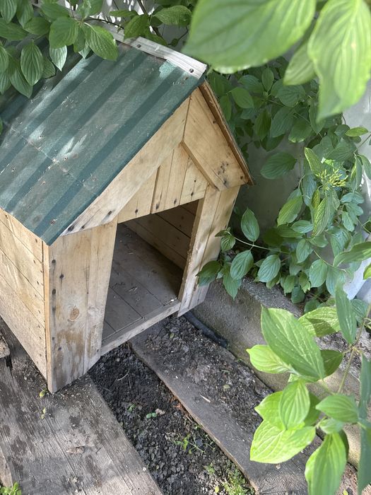 Продам бутку для собак