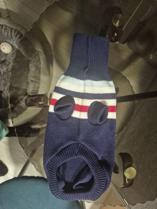 Одежда для собак