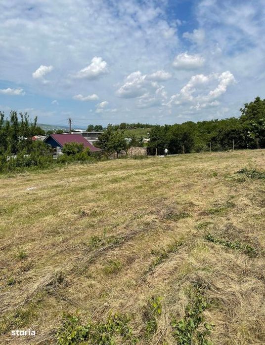 Oportunitate, parcela 1763 mp ,pozitie insorita, acces excelent. Jucu