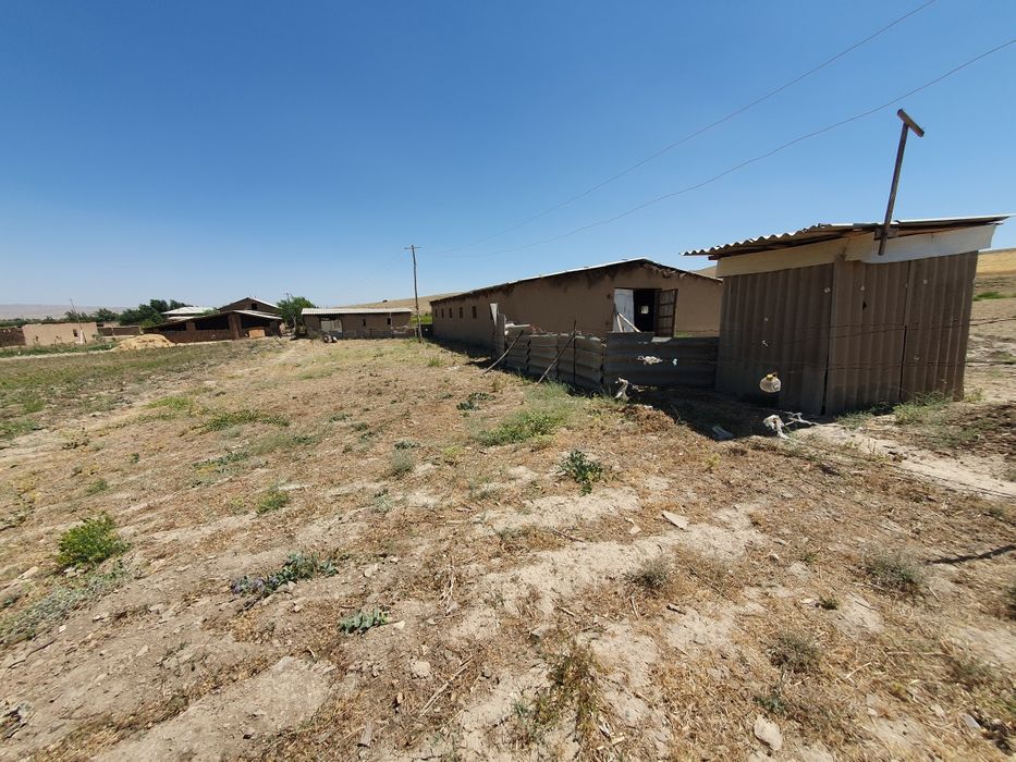 Payariqda tayyor ferma xovli sotiladi 1.5 gektar yoki barter