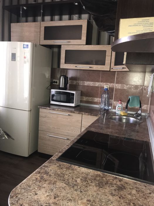 Посуточно , почасовой