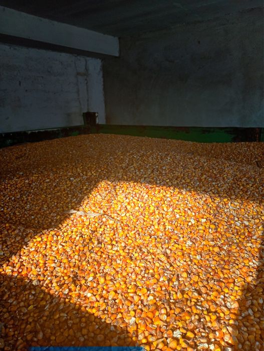 Vand graunțe 1 leu kg