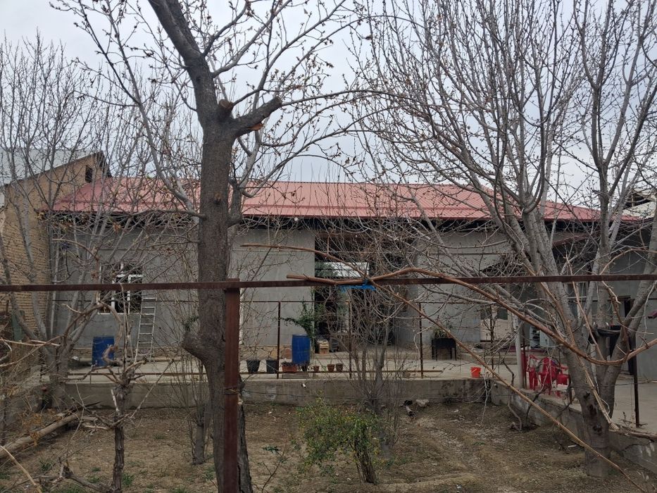 Navoiy shahar guliston-3 354 uy.Hovli sotiladi