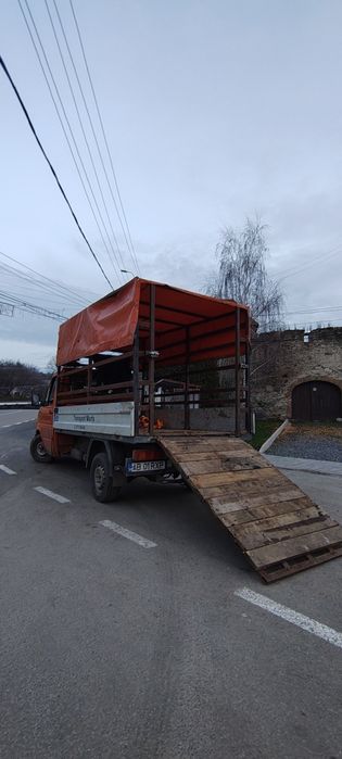 Volkswagen LT35 2.5 transport animale