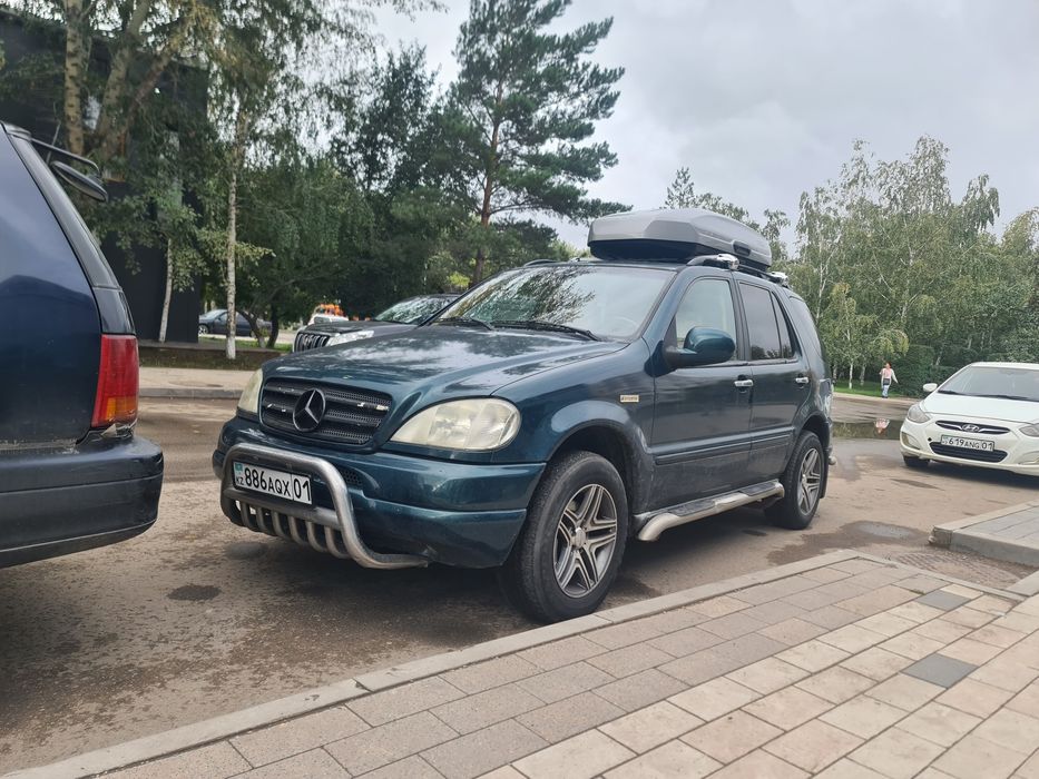 Продам или обмен телята подсос