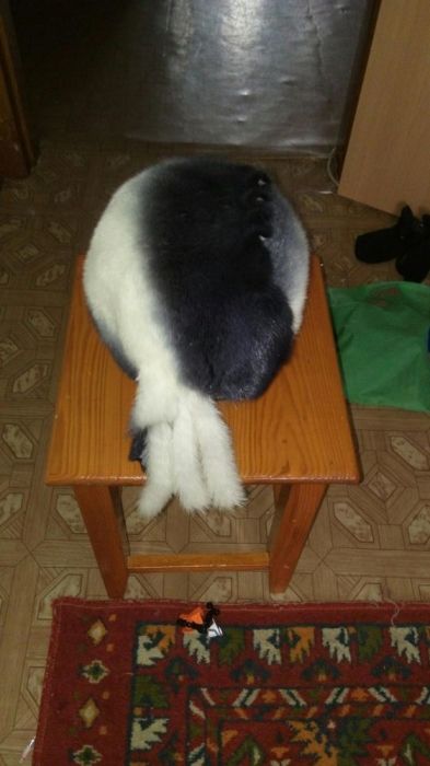 Продам шапку мужскую и женскую