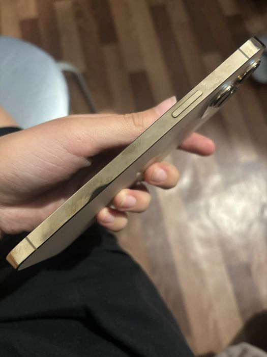 iPhone 13 pro max 128g