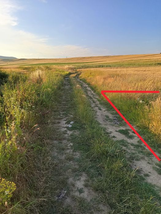 Teren de vânzare DT Severin Schela Magheru, 8800 mp, 7 euro mp negociabil