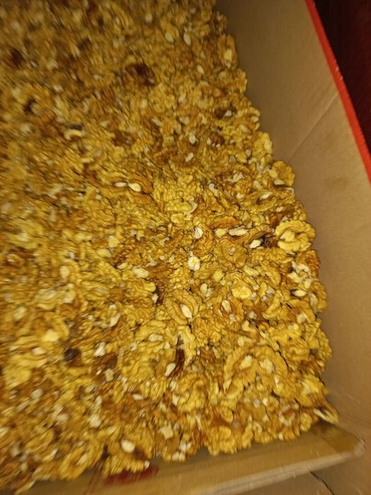 Vand miez nuca,mai multe detalii la telefon