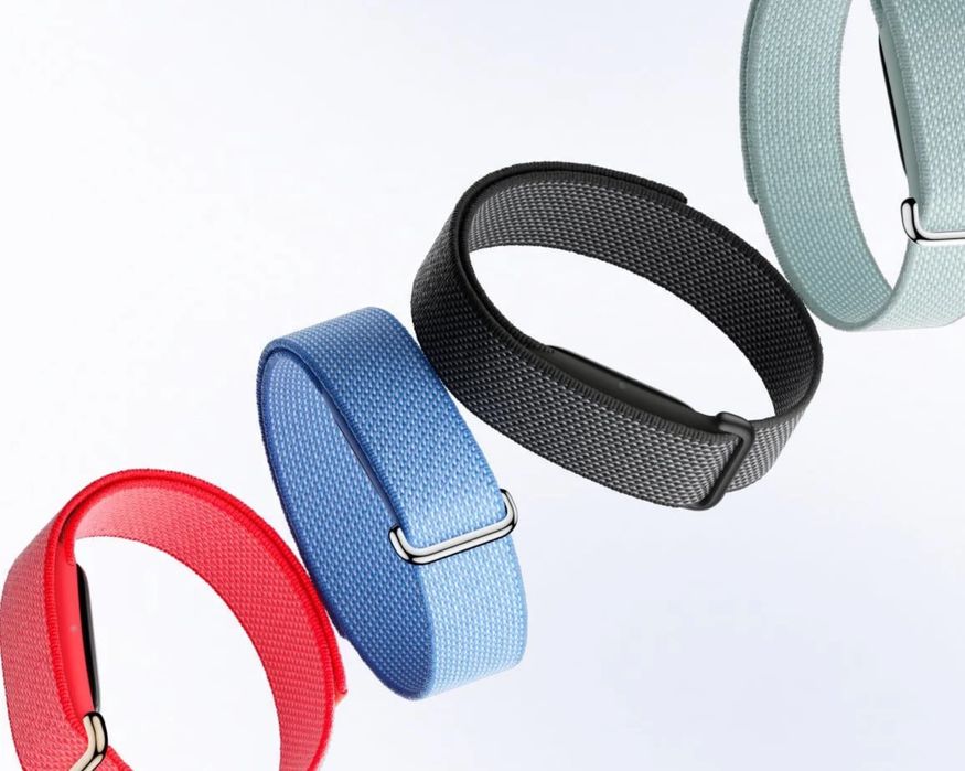 Фитнес браслет Google Fitbit Air