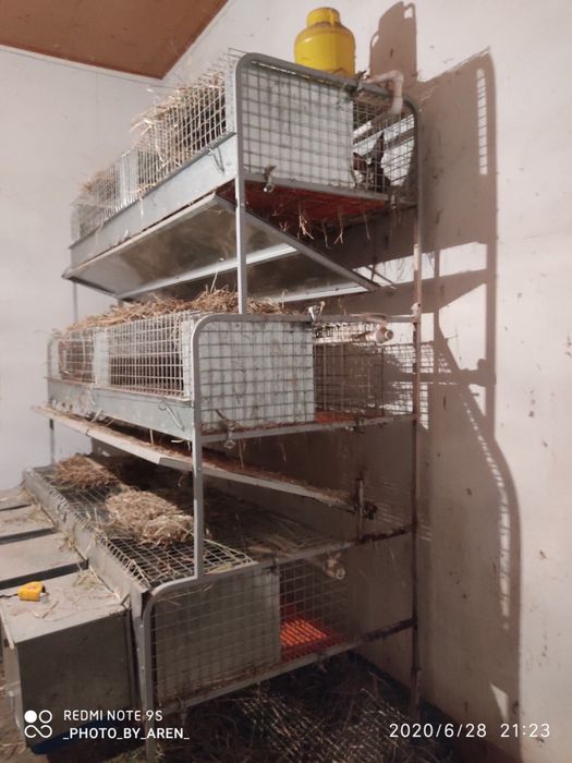 Quyon kletka, куен клетка, клетка для кроликов