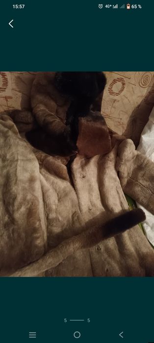 Продам дубенку шубу