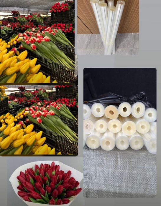 Тюльпан. Букеты. Тюльпаны