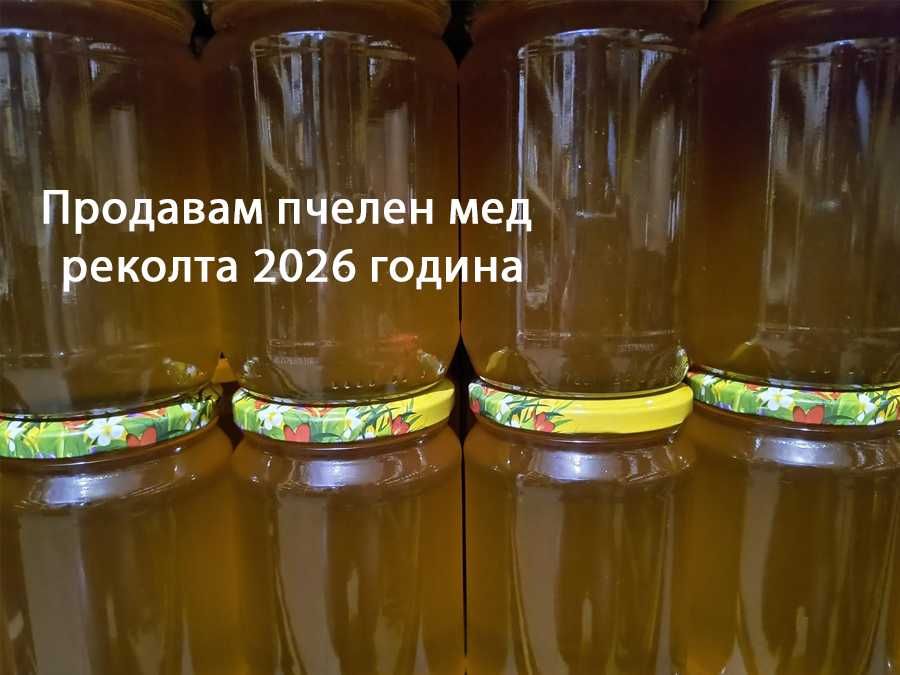 Продавам пчелен мед реколта 2026 година