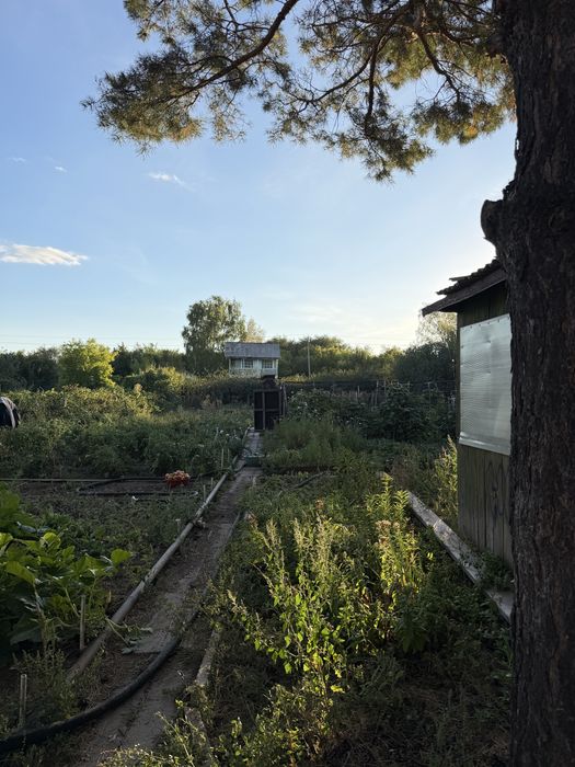 Продам дачу СО Дружба