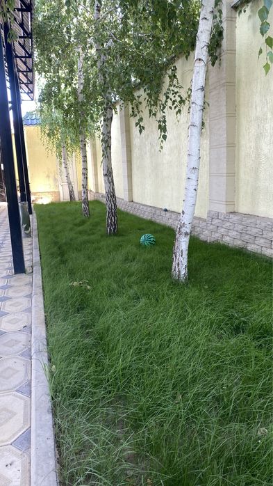 Газон Автополив Дизайн