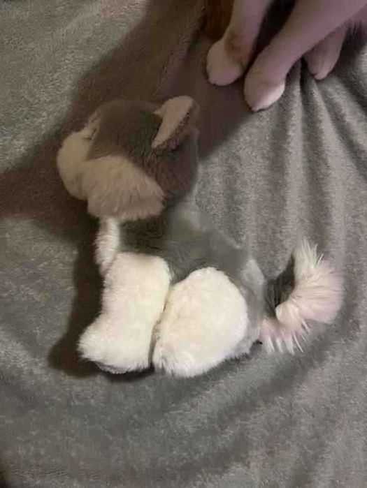 Детска плюшена играчка куче