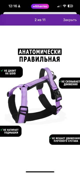 Шлейка для собак