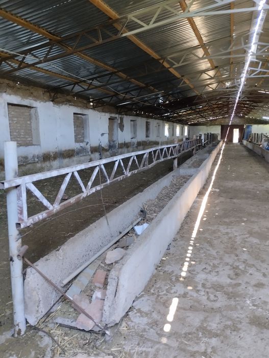 Жевотноводческая база