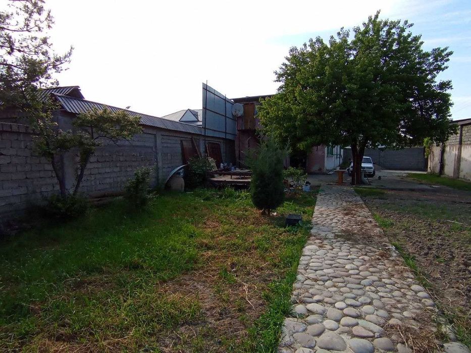 Xovli sotiladi Yanggi Ózbekistonda 9.9 sotix