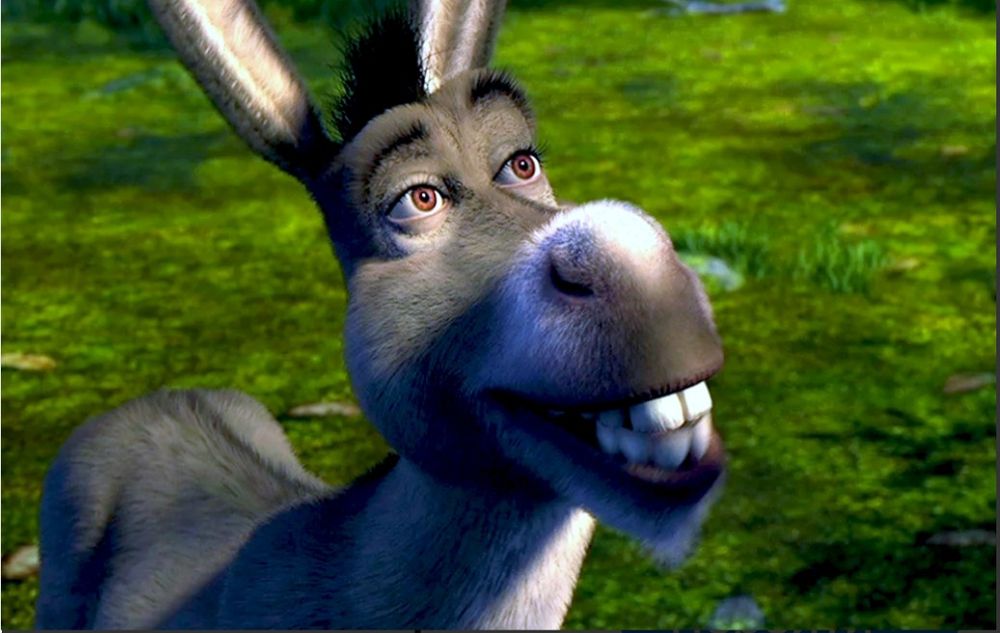 Продам ослов, ишаки