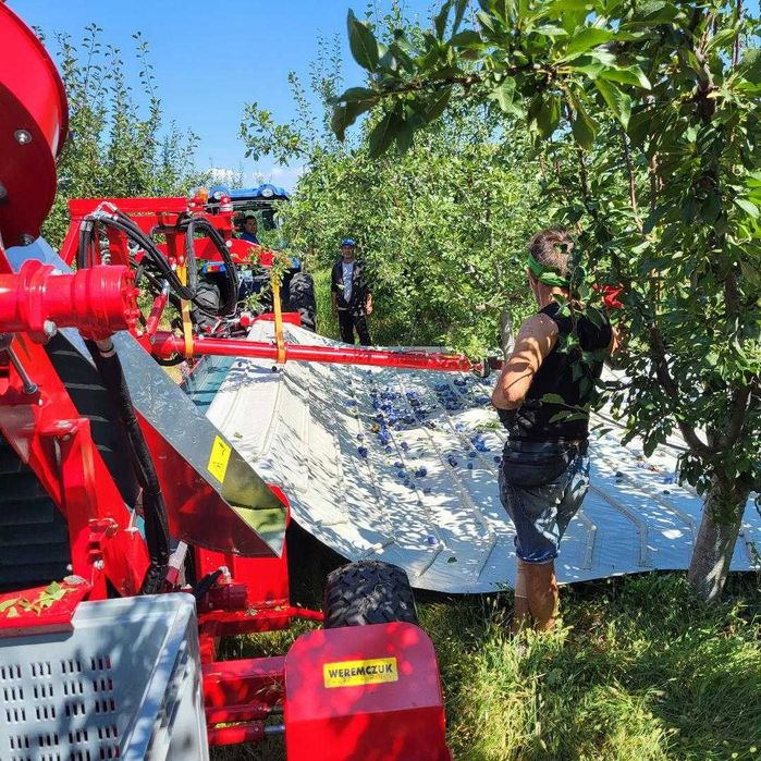 Предлагам бране на сливи и други плодове с машина Мая.