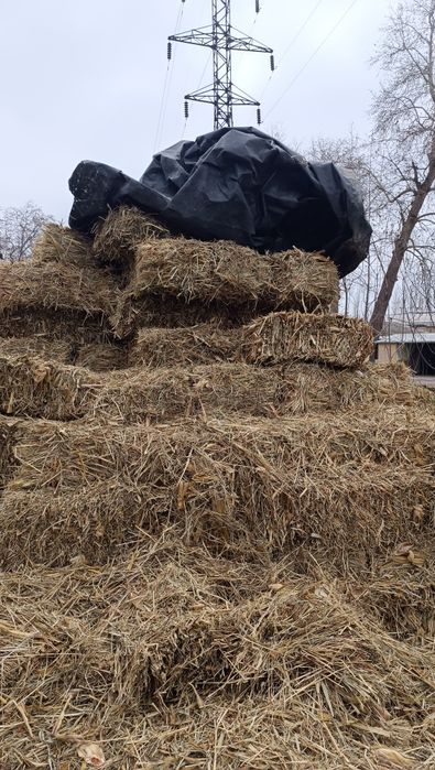 Mayin o't pres sotiladi