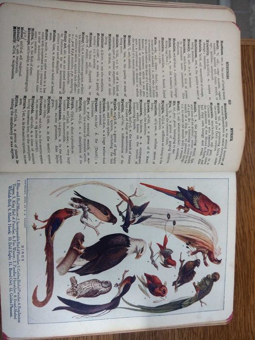 vind dictionar englez cu ilustratii in limba engleza din 1920