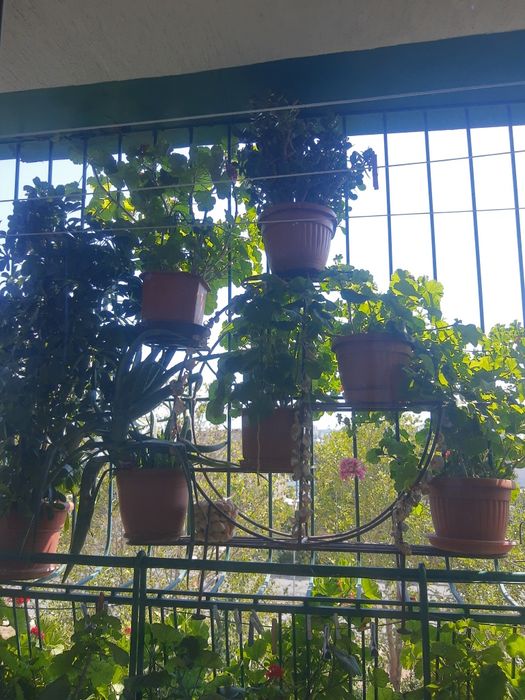 Мебел,Цветарник за дома.НАМАЛЕНИЕ 199лв