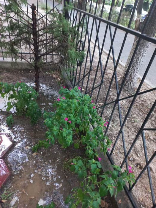Квартира Нурсат под офис