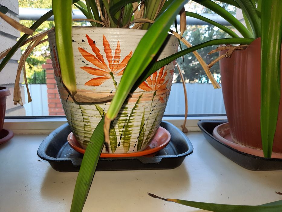 Горшки цветочные керамика