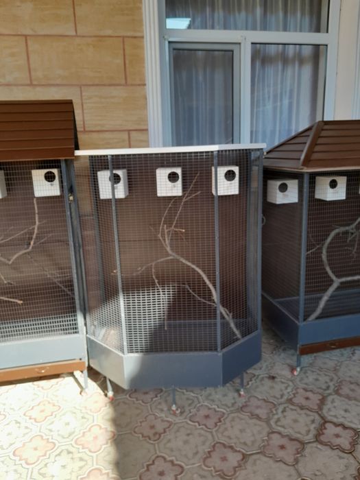 Кустарга клетка сатылады