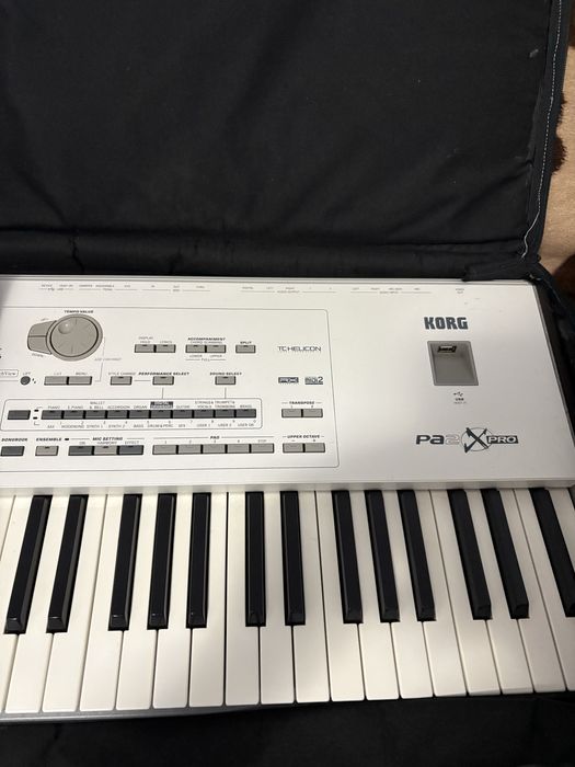 Vand korg pa2x pro 256mb ram+husa