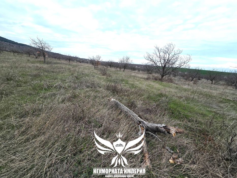 Продава се Парцел в Асеновград - 3943 кв.м за 7 €/кв.м - Снимка #1