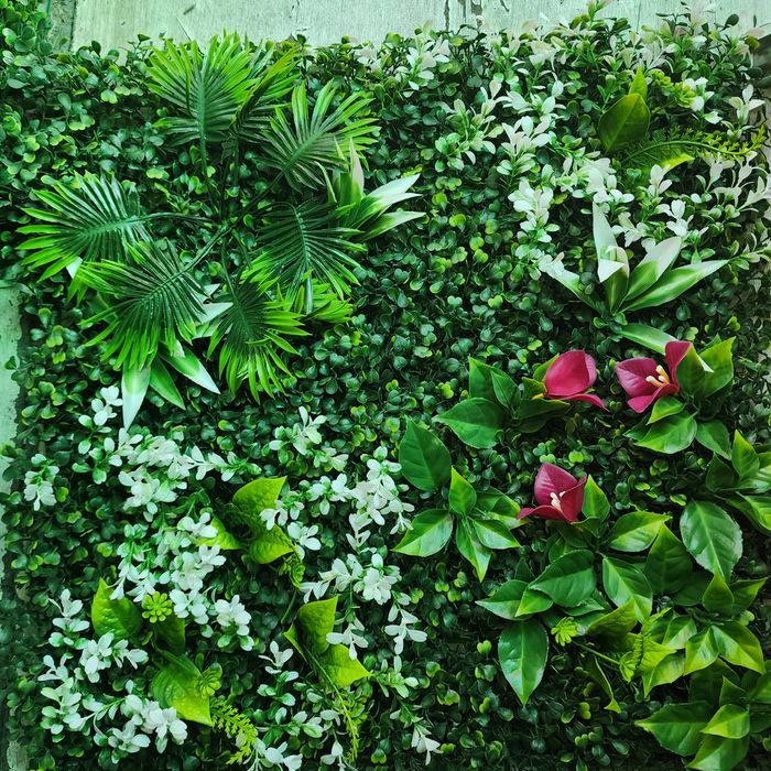 Minka aktrisa porno rasmlar