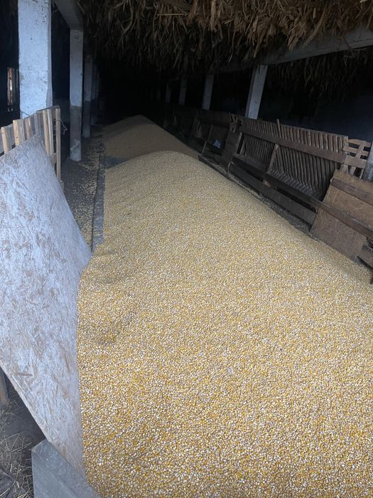 Vand graunte”bob sticlos”