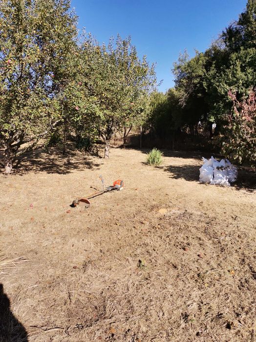 Косене. Рязане на храсти и опасни дървета. Разчистване на терени.