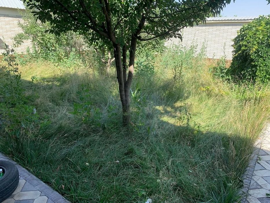Gazon o'rish Xizmati