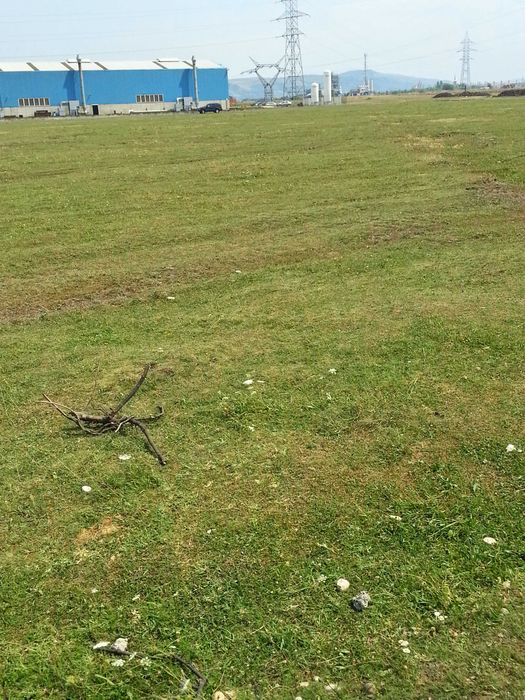 Teren extravilan 7300m