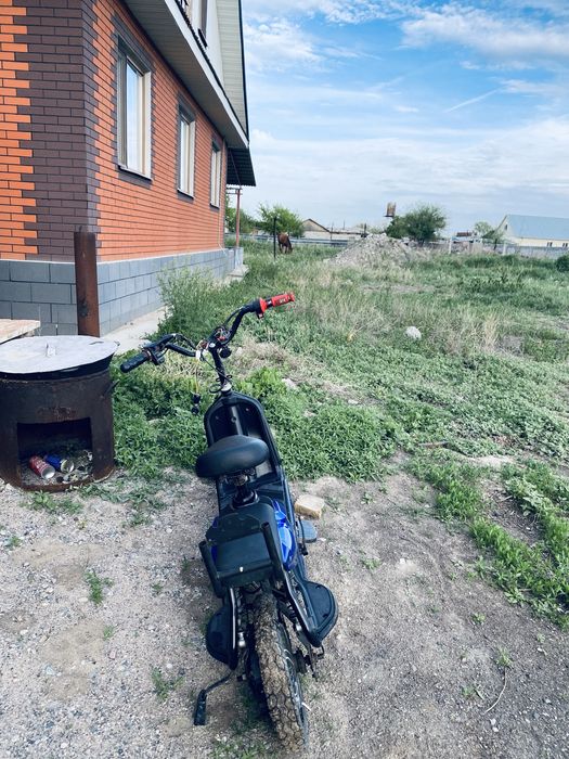 Продам стантовый электровелик