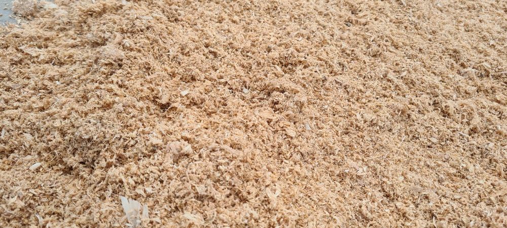 Rumegus pentru afumat