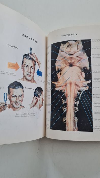 Compendiu O.R.L D. Sarafoleanu 1997
