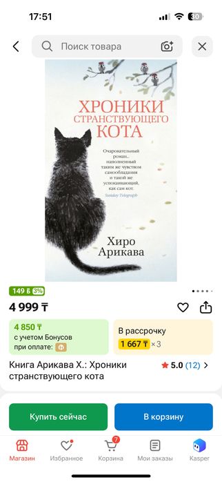 Книга хроники странствующего кота